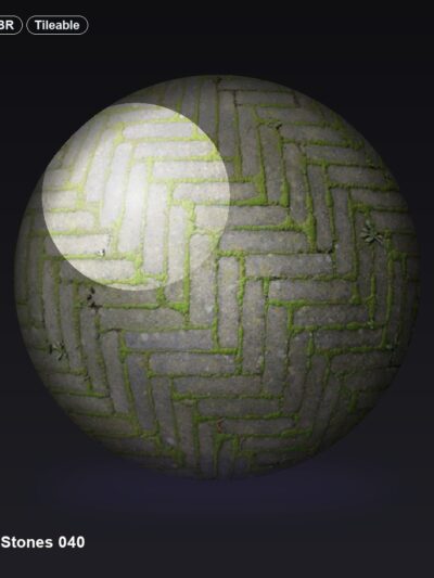 Paving Stones 040