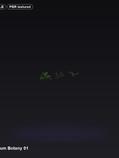 Anthurium Botany 01