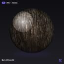 Bark Willow 02
