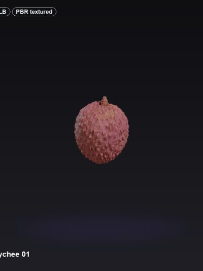Food Lychee 01