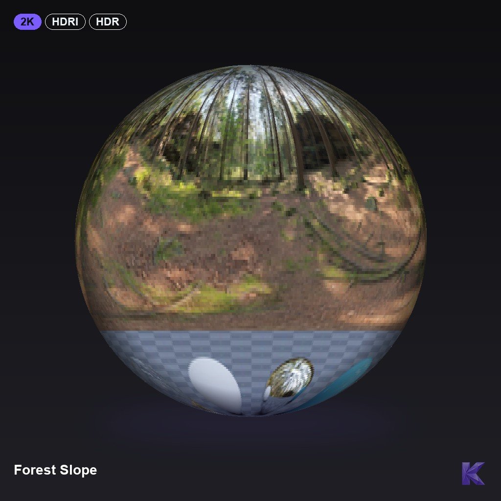 Forest Slope