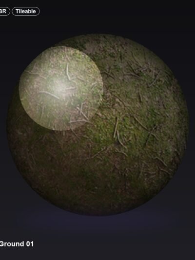 Forest Ground 01