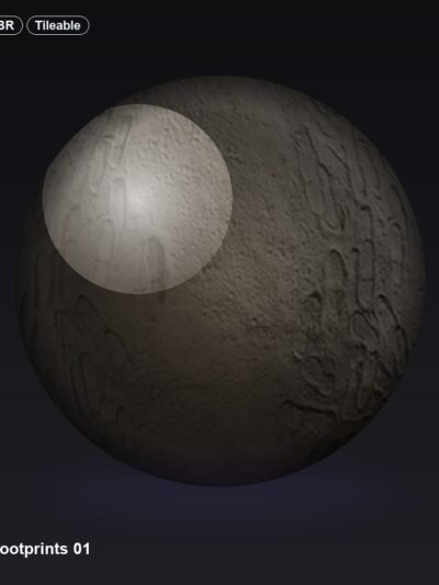 Moon Footprints 01
