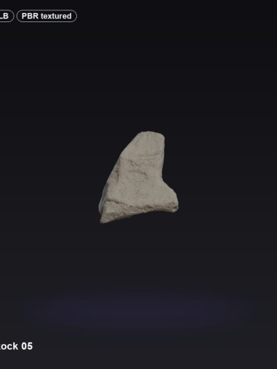 Moon Rock 05