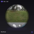 Pine Picnic