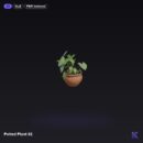 Potted Plant 02