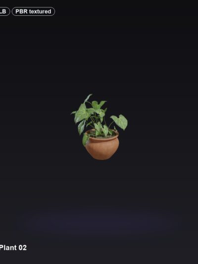 Potted Plant 02