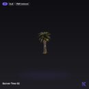 Quiver Tree 02