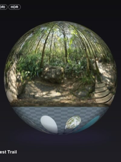 Rainforest Trail